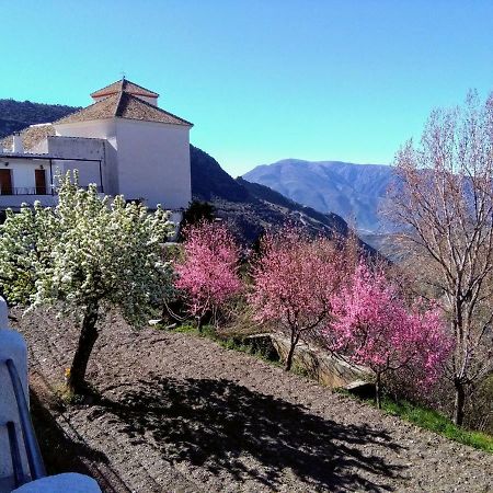 Apartmán La Locana Bubión Exteriér fotografie