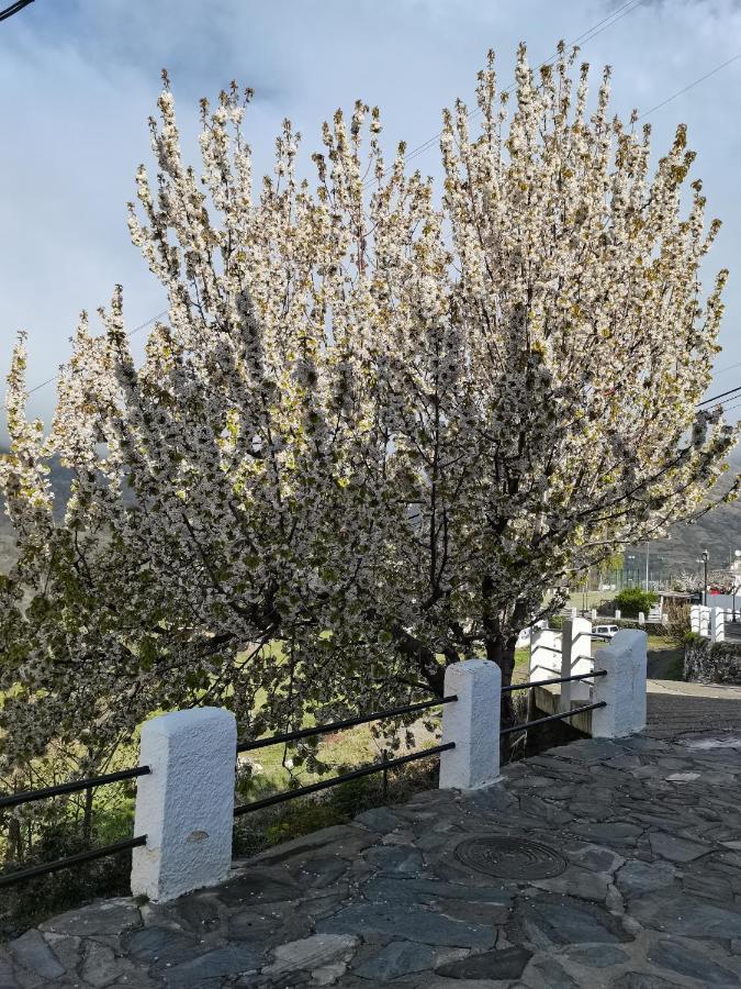 Apartmán La Locana Bubión Exteriér fotografie