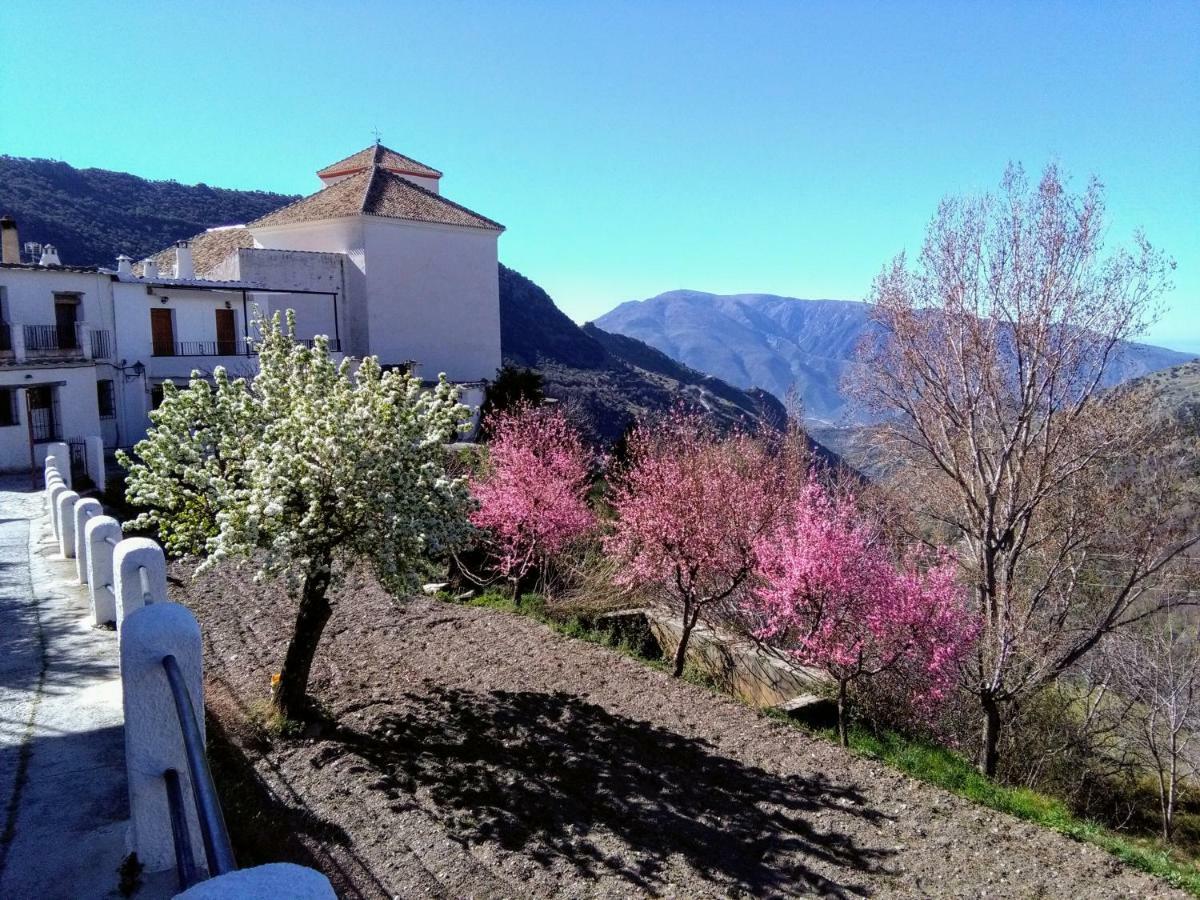 Apartmán La Locana Bubión Exteriér fotografie