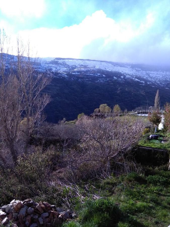 Apartmán La Locana Bubión Exteriér fotografie